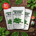 Imported Mix Hosta Plant Seeds (100g Pack) | BUY 1 GET 2 FREE + Free Organic Growth Booster!