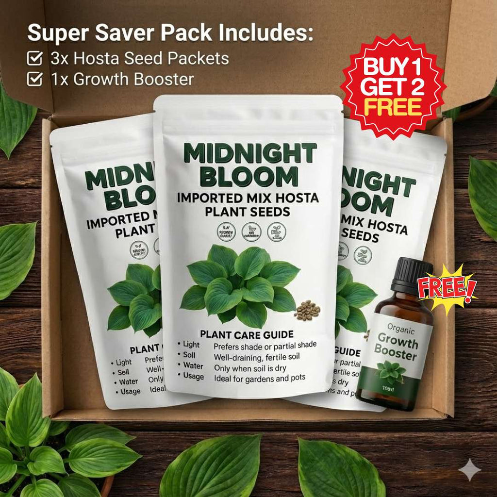 Imported Mix Hosta Plant Seeds (100g Pack) | BUY 1 GET 2 FREE + Free Organic Growth Booster!