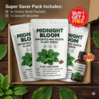 Imported Mix Hosta Plant Seeds (100g Pack) | BUY 1 GET 2 FREE + Free Organic Growth Booster!