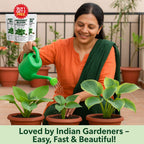 Imported Mix Hosta Plant Seeds (100g Pack) | BUY 1 GET 2 FREE + Free Organic Growth Booster!